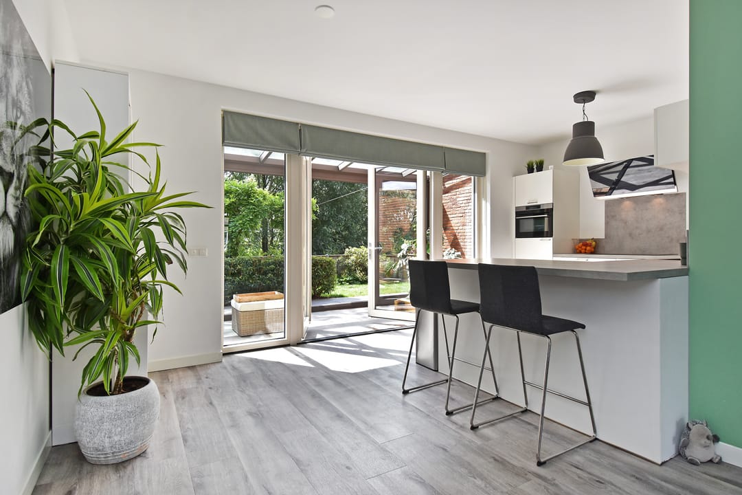 Photo 8 of Vossenzoom 245