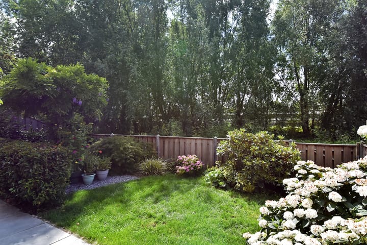 Photo 10 of Vossenzoom 245