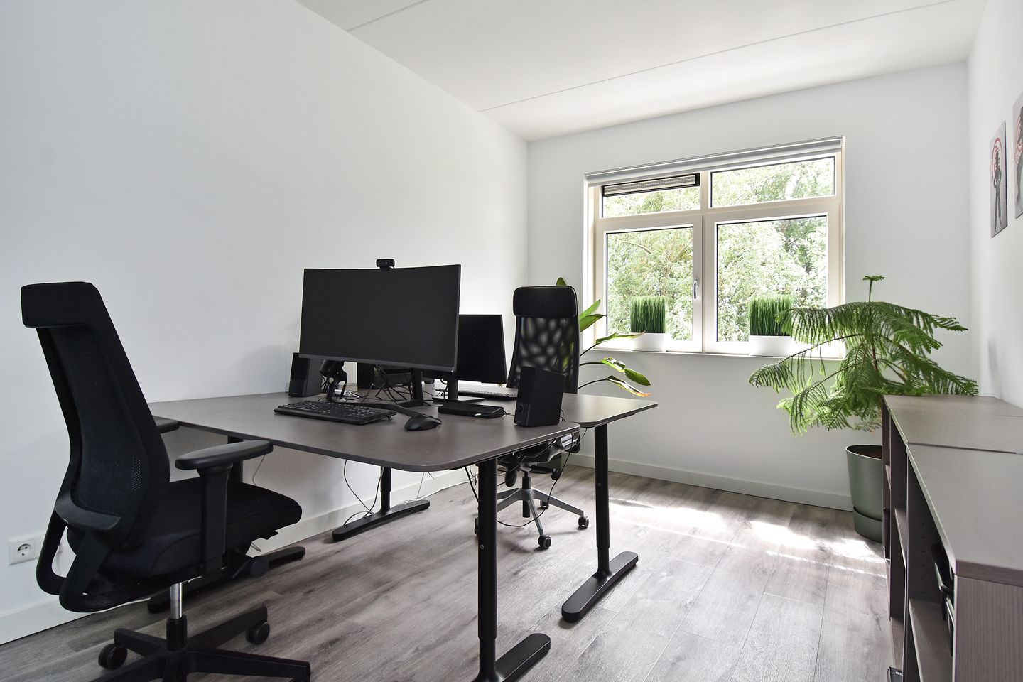 Photo 20 of Vossenzoom 245