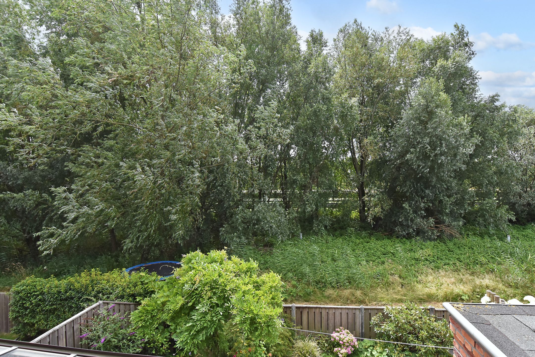 Photo 21 of Vossenzoom 245