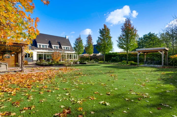 Foto 52 van De Hackert 11