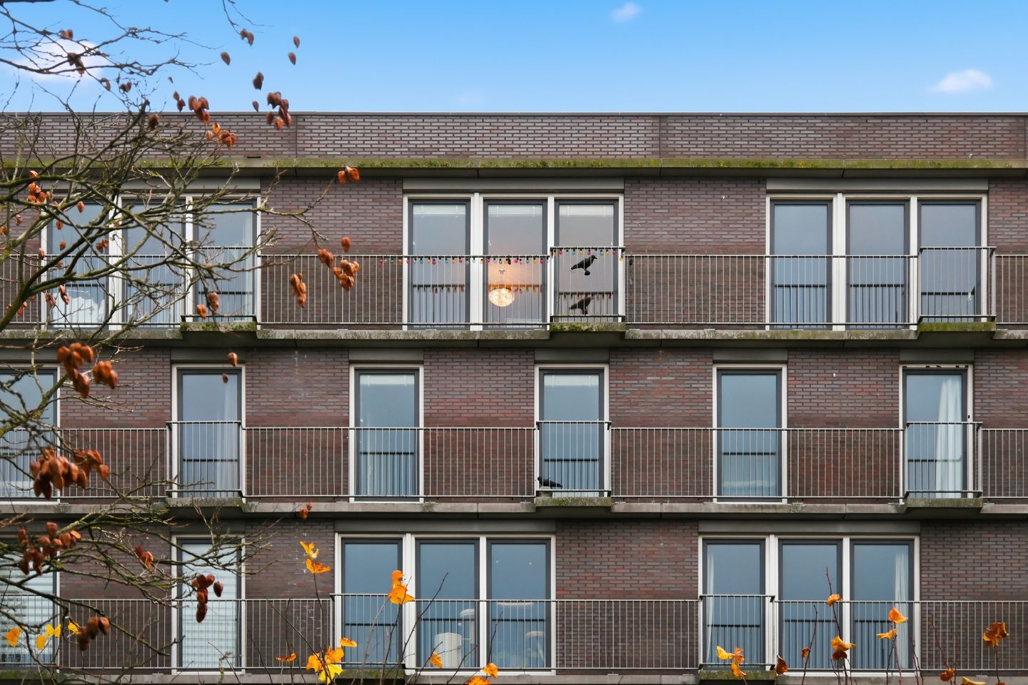 Foto 5 van Bos en Lommerplein 38