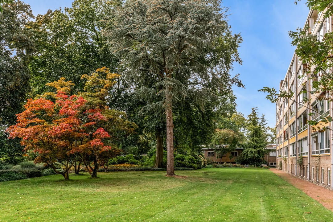 Foto 31 van Laan van Rijnwijk 1-A27