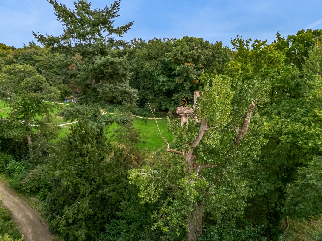 Foto 38 van Laan van Rijnwijk 1-A27