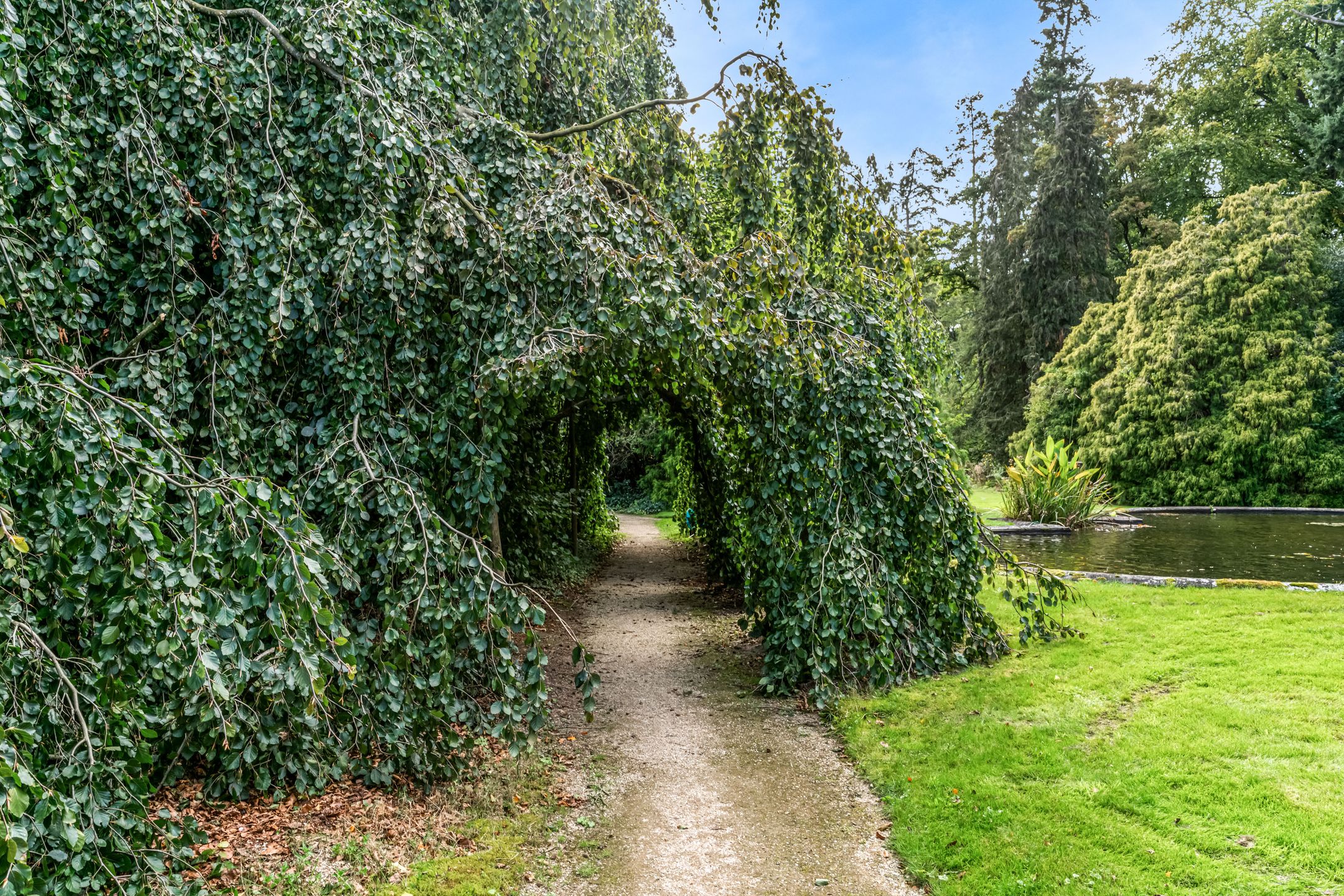 Foto 39 van Laan van Rijnwijk 1-A27