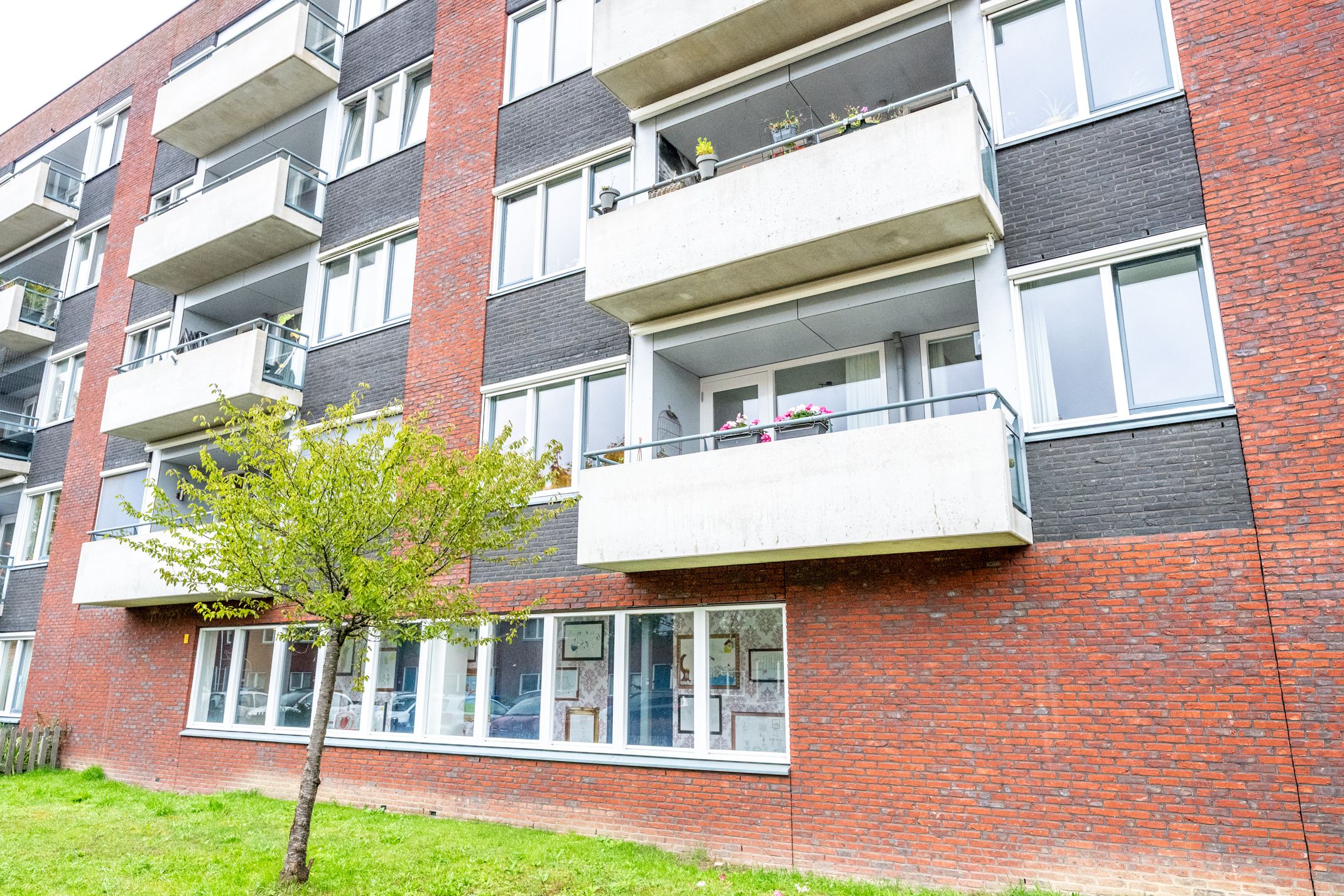 Foto 48 van Daelwijcklaan 180