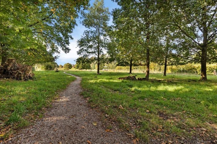 Foto 48 van Taco Haringastraat 18