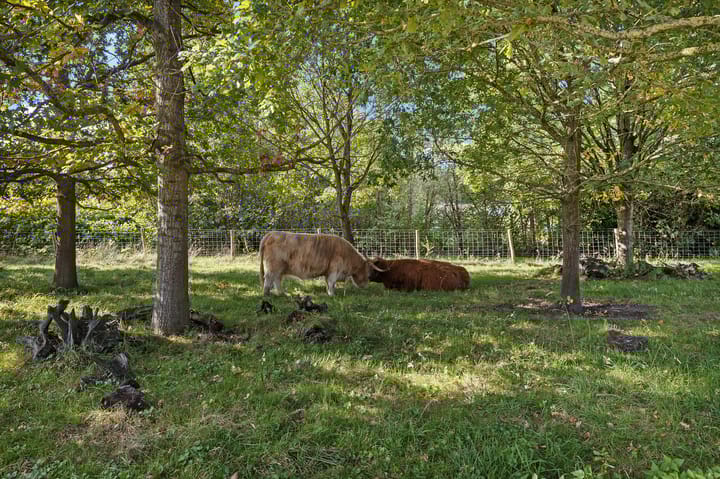 Foto 49 van Taco Haringastraat 18