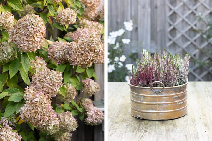 Foto 45 van Hiemerwaard 130