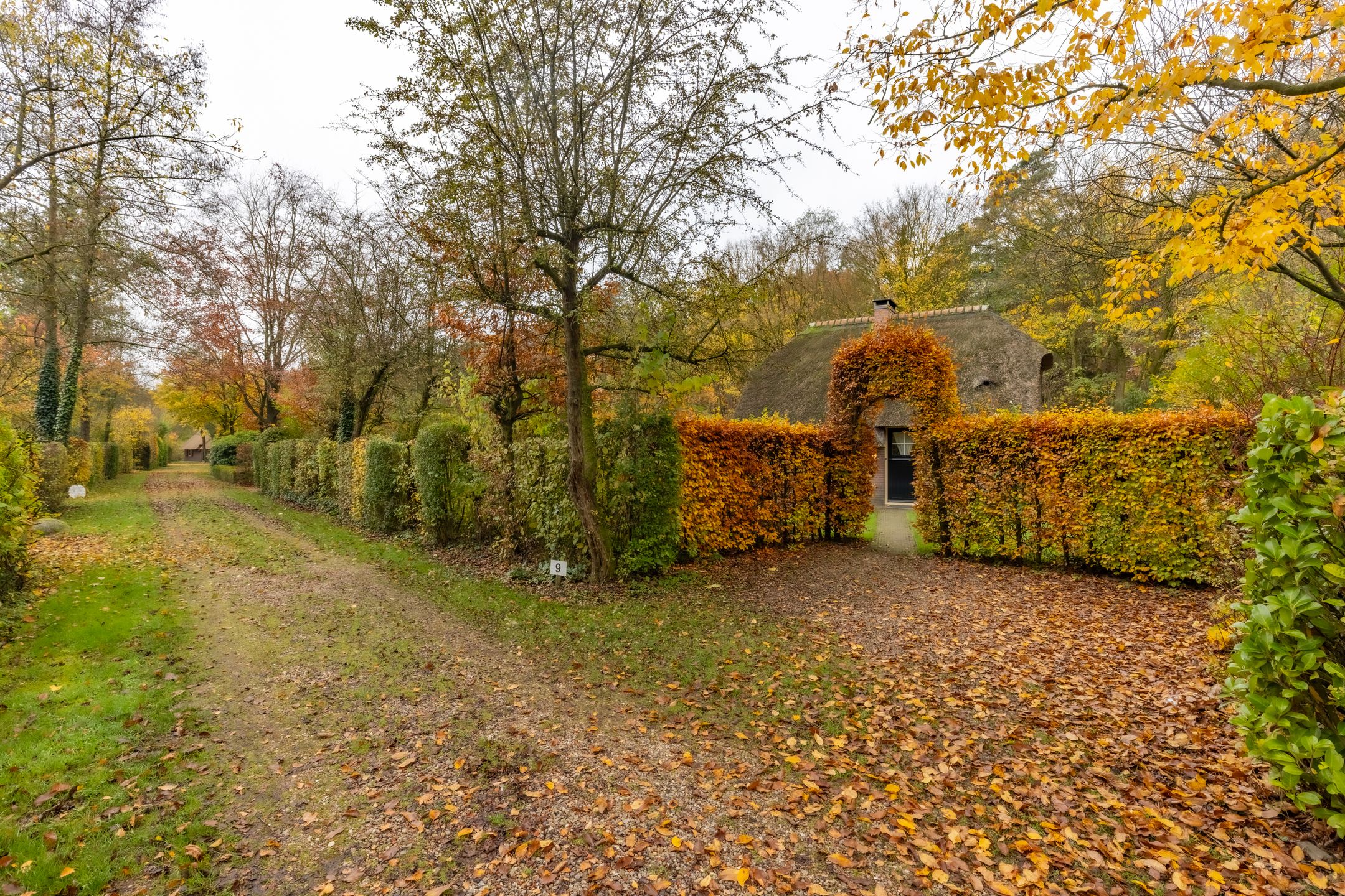 Photo 6 of Wolbarg 9