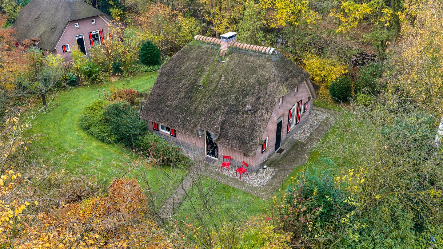 Photo 25 of Wolbarg 9