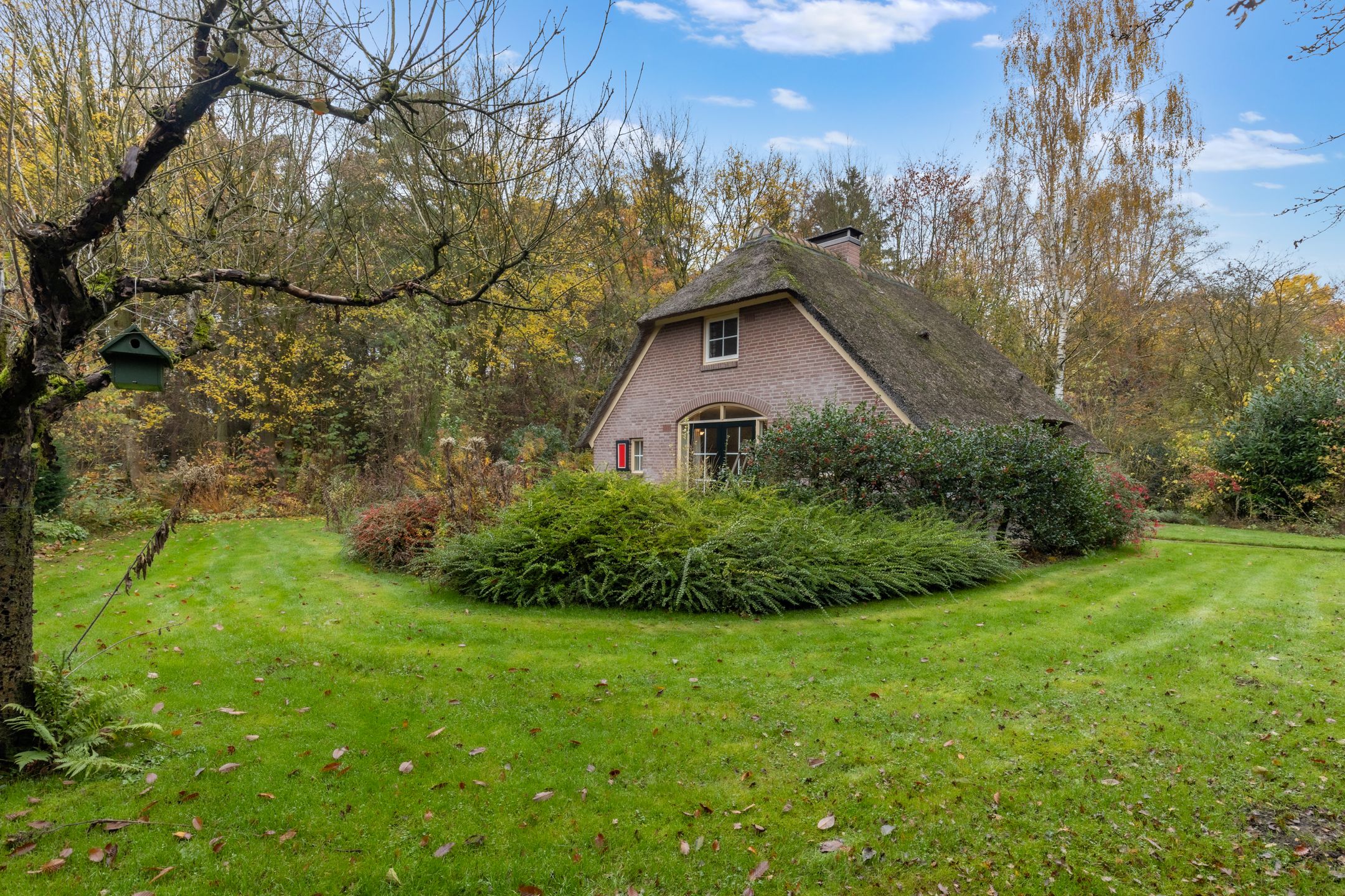 Photo 24 of Wolbarg 9