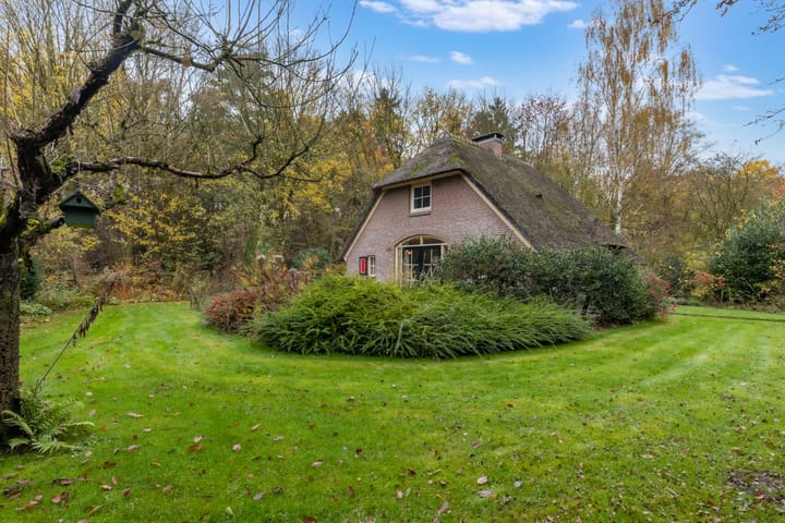 Foto 24 van Wolbarg 9