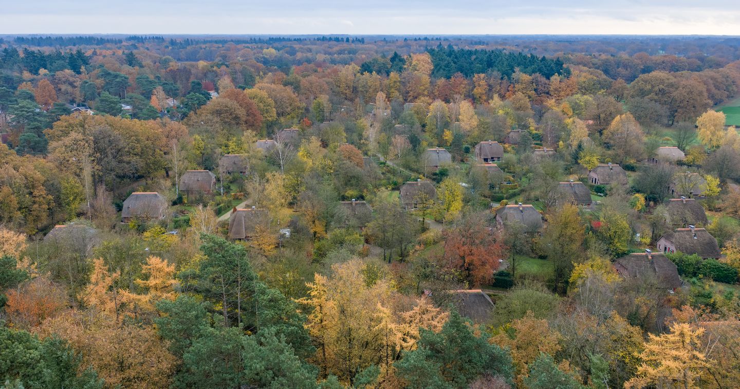 Photo 29 of Wolbarg 9