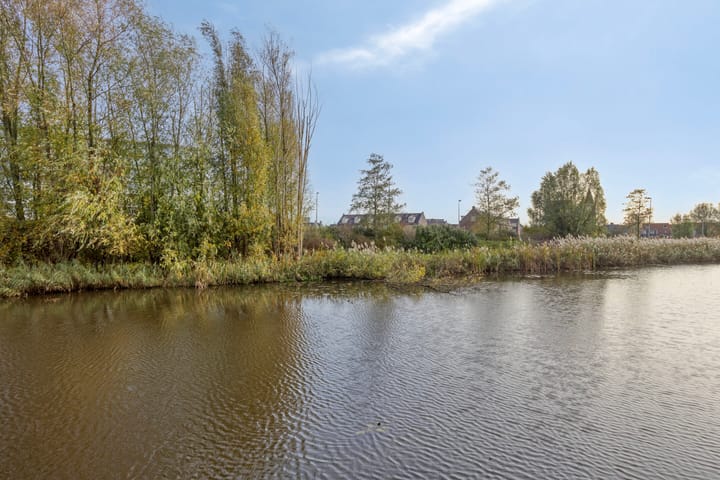 Foto 12 van Trinidadstraat 15