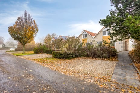 Friesche Vlaak 11 tertiary image