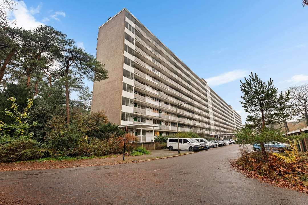 Foto 1 van Anna Paulownalaan 170