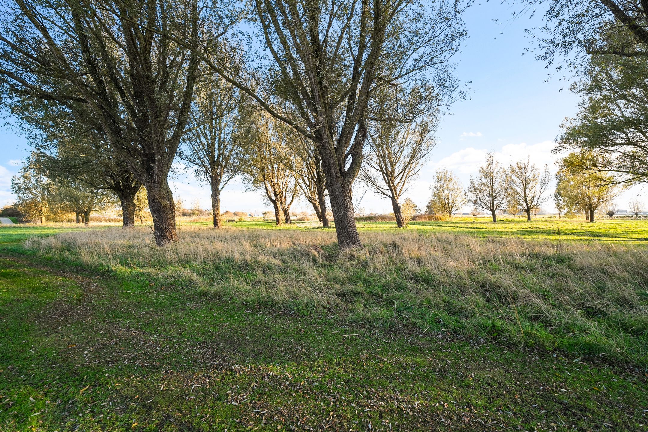 Foto 30 van Jan Peereboomstraat 25