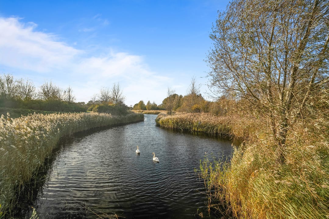 Foto 32 van Jan Peereboomstraat 25