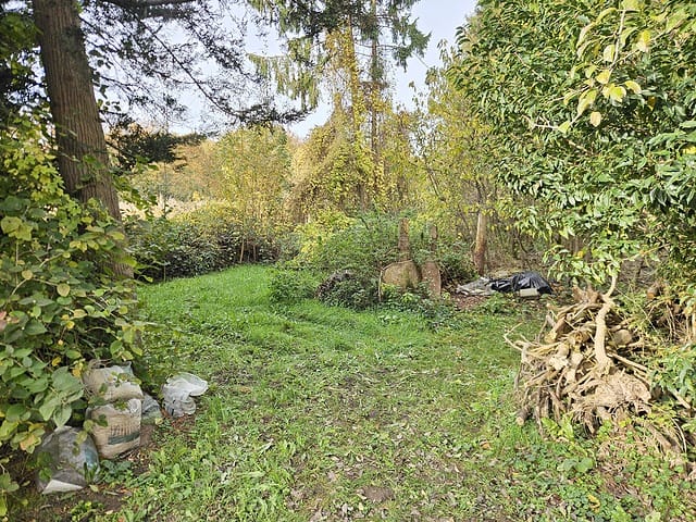 View photo 5 of De Wolfsputten