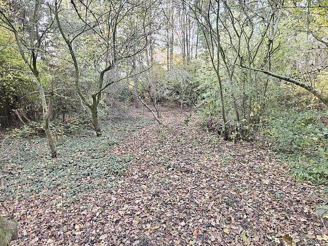 View photo 3 of De Wolfsputten