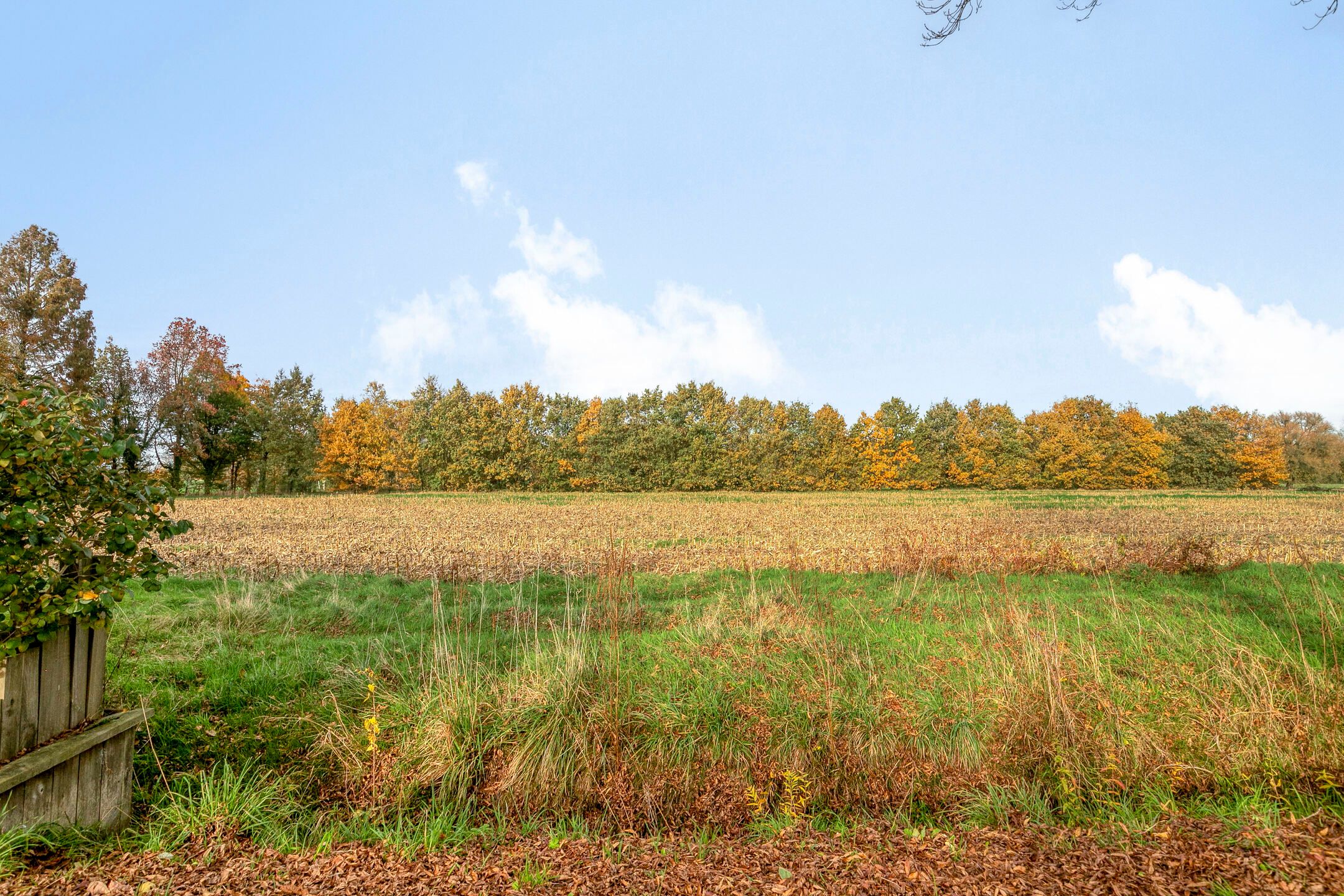 Foto 42 van Wethouder Ten Hamlaan 57