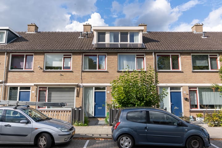 Photo 1 of Geelkruid 53