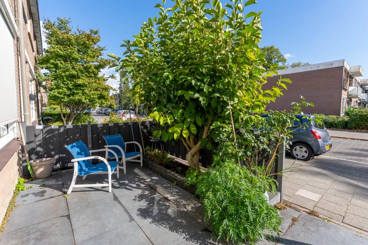 Photo 4 of Geelkruid 53