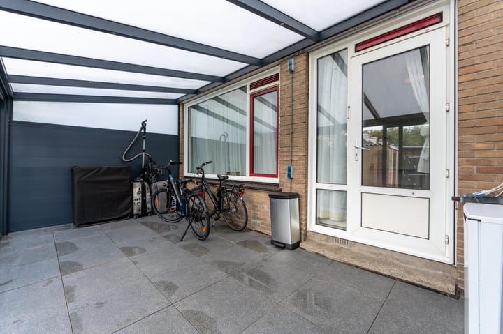 Photo 9 of Geelkruid 53