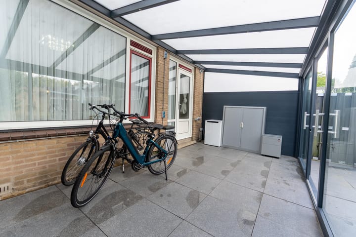 Photo 10 of Geelkruid 53