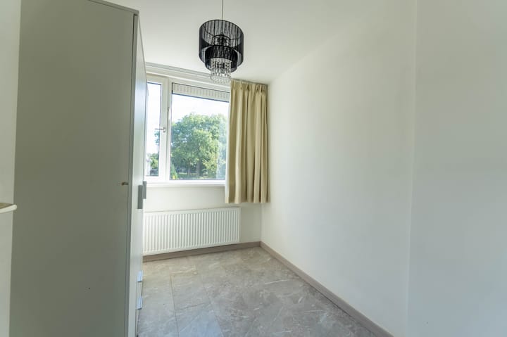 Photo 16 of Geelkruid 53