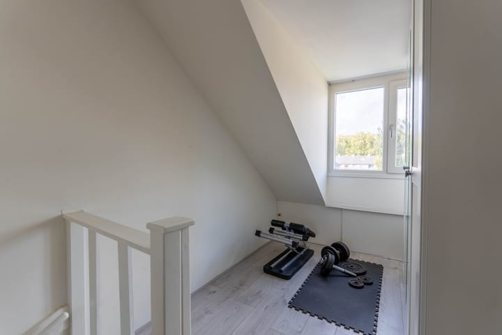 Photo 24 of Geelkruid 53