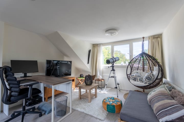 Photo 26 of Geelkruid 53