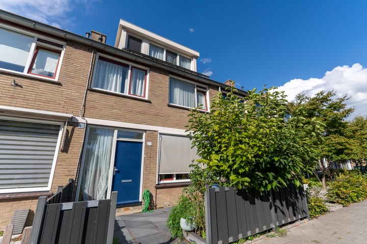 Photo 27 of Geelkruid 53