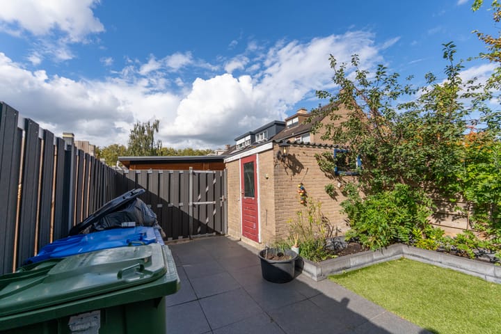 Photo 28 of Geelkruid 53