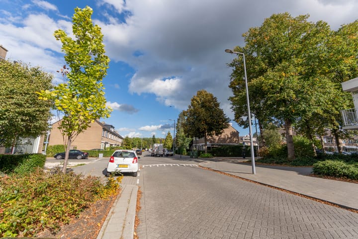 Photo 29 of Geelkruid 53