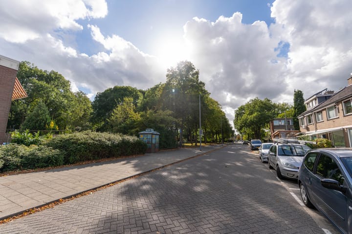 Photo 30 of Geelkruid 53