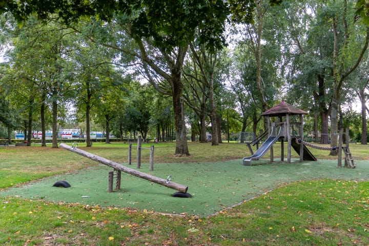 Photo 31 of Geelkruid 53