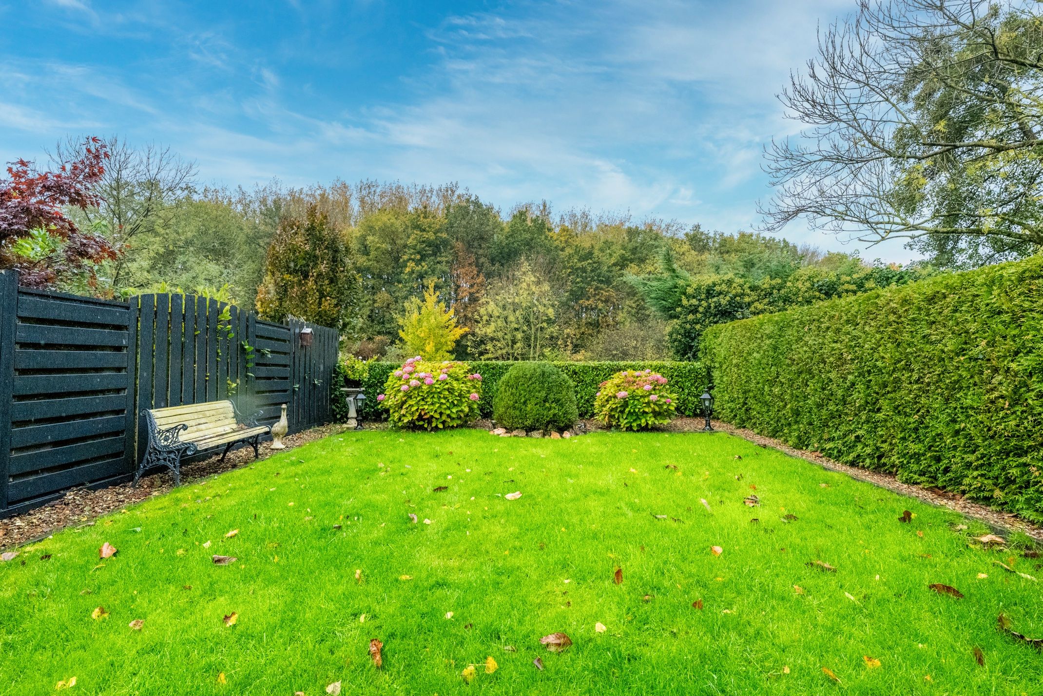 Foto 21 van de Bruijnstraat 43