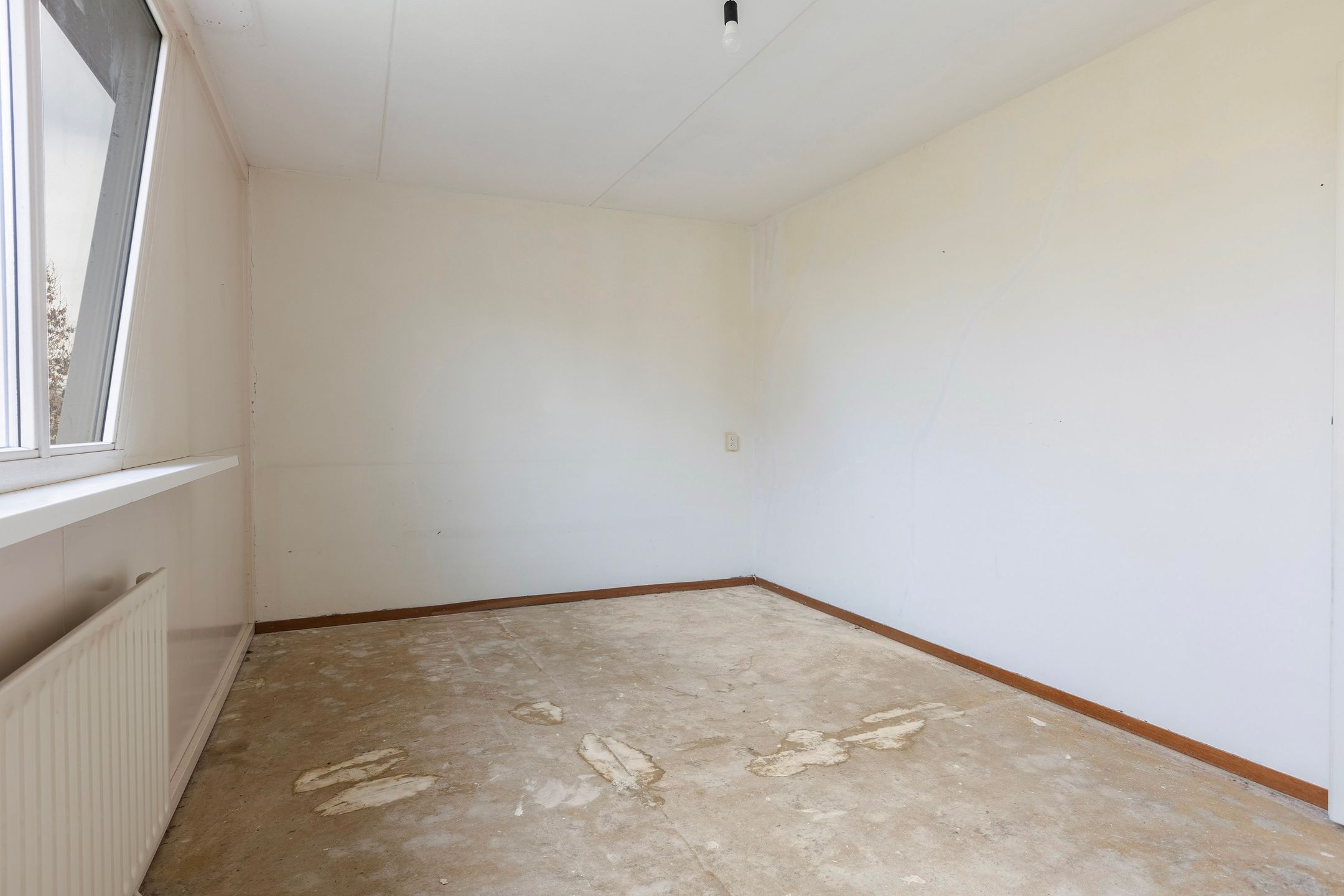 Foto 12 van Homberg 2245