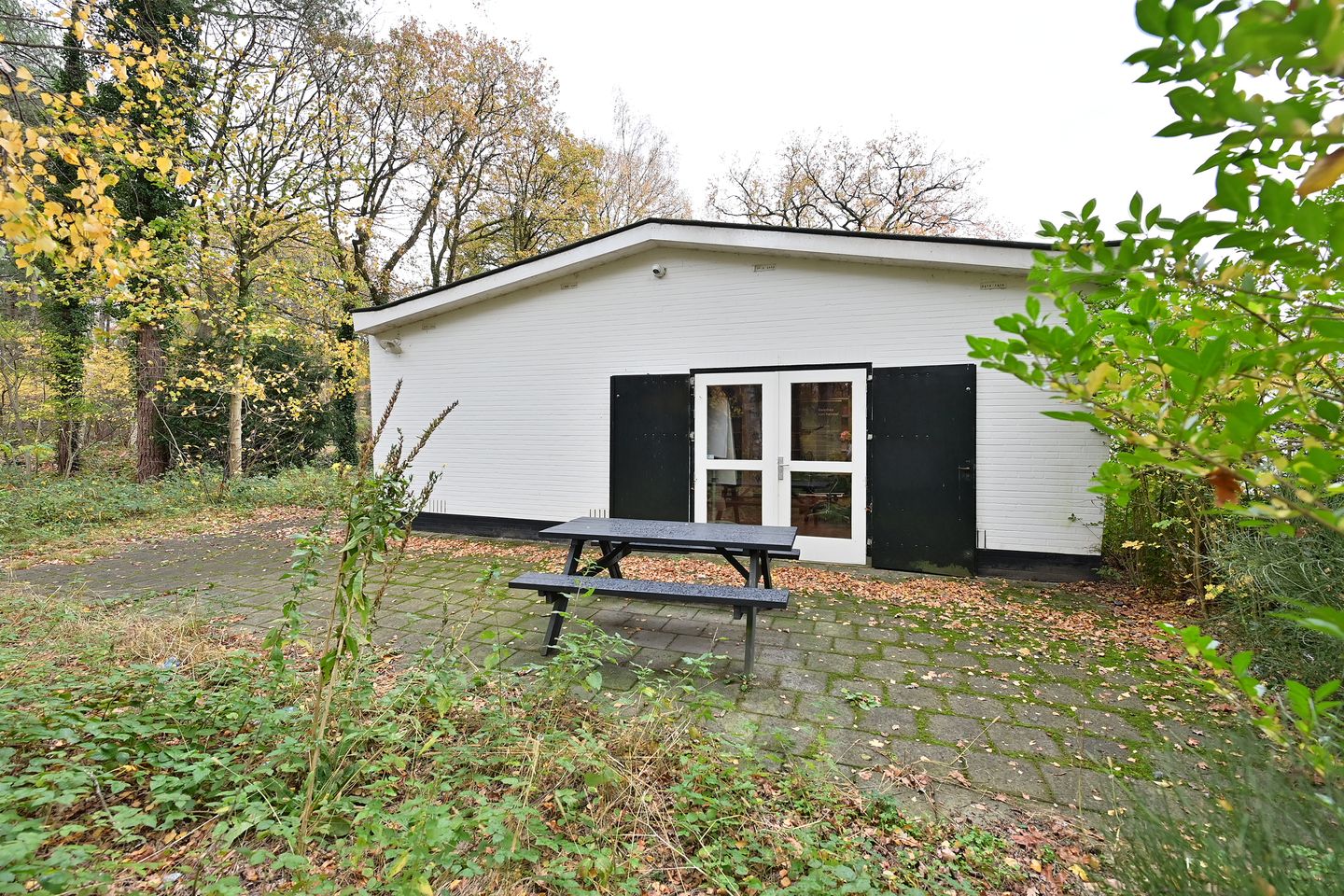 Bekijk foto 3 van Loosdrechtse Bos 21-E