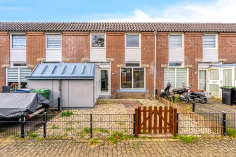 undefined main image