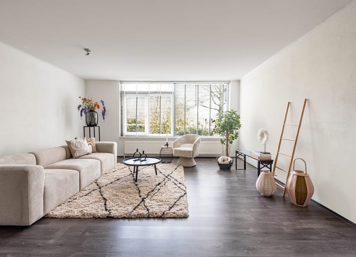 Foto 2 van Curiestraat 12