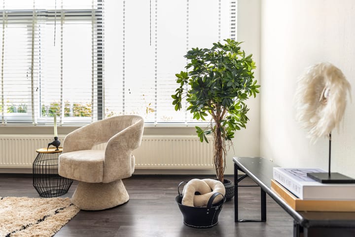 Photo 17 of Curiestraat 12