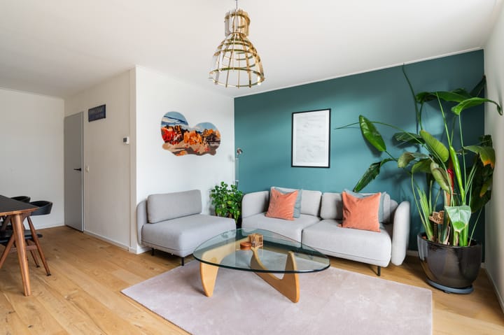 Foto 5 van Jagthuisstraat 31-A02