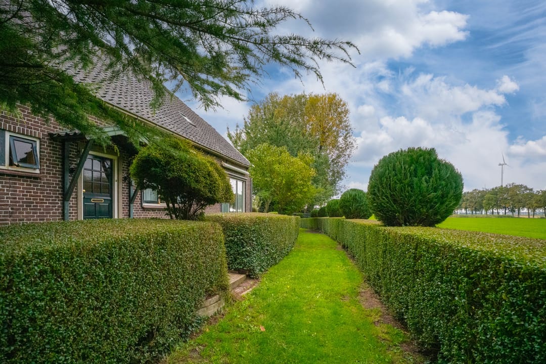 Foto 8 van Koestraat 31