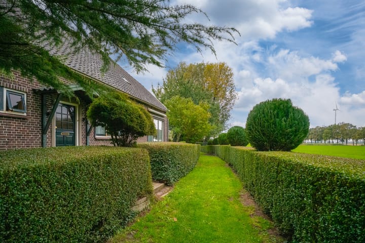 Foto 8 van Koestraat 31