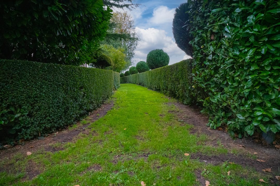 Foto 41 van Koestraat 31