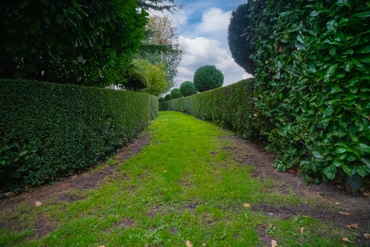 Foto 41 van Koestraat 31