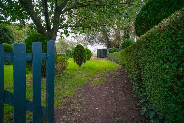 Foto 42 van Koestraat 31